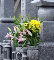 背景画像
